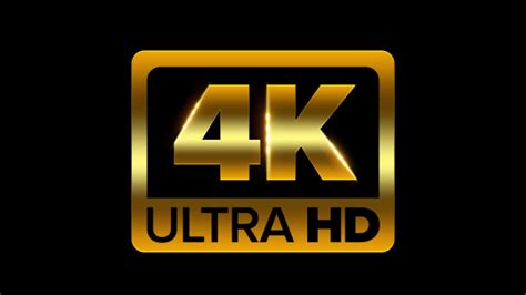 porner hd video|4K Porn Ultra HD